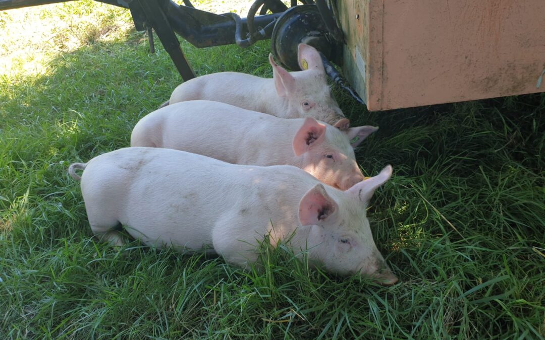 Mathilda, Eliot und Carlos